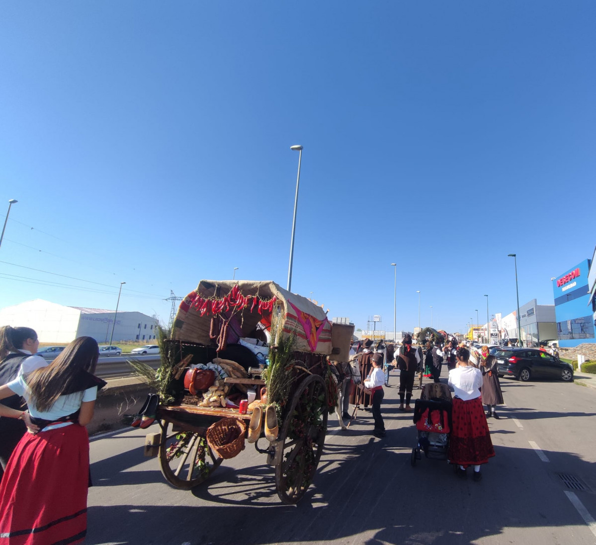 Carros engalanados romeria san froilan la virgen 2023 (8)