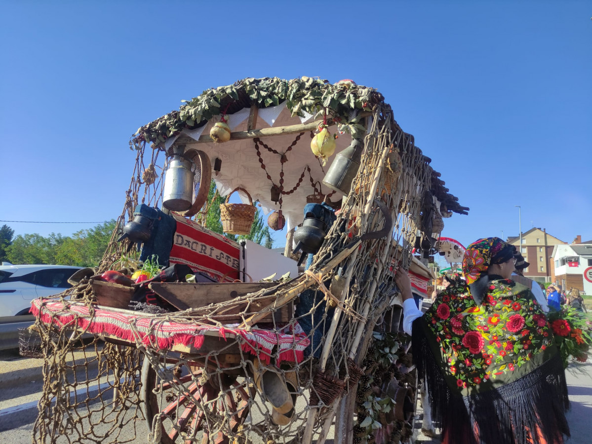 Carros engalanados romeria san froilan la virgen 2023 (10)