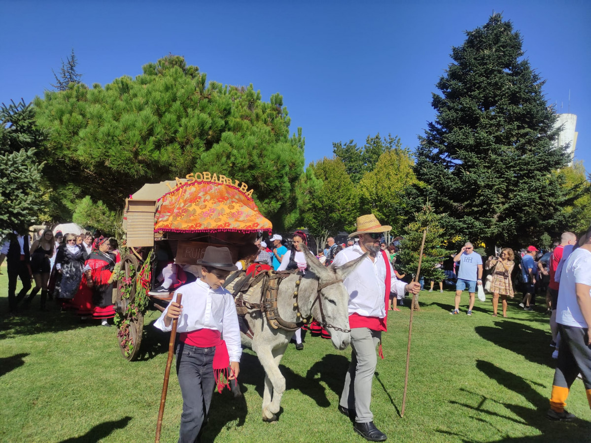Carros engalanados romeria san froilan la virgen 2023 (11)