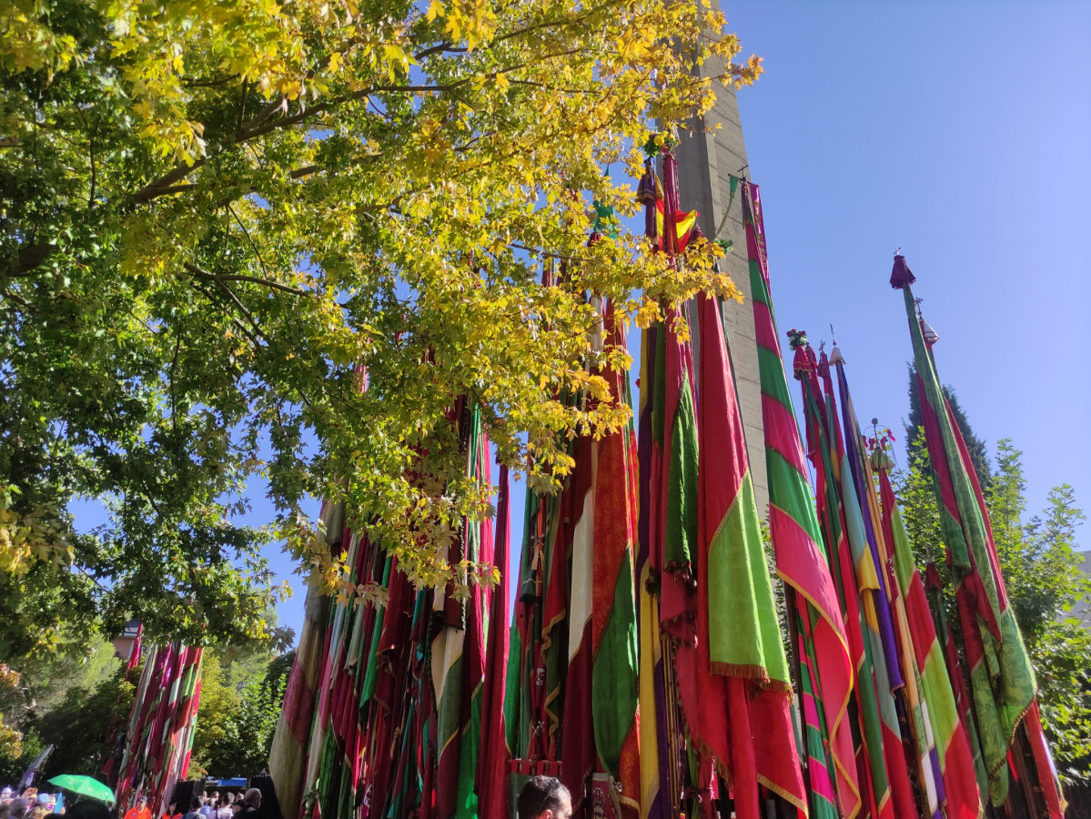 Pendones romeria san froilan la virgen 2023 (14)