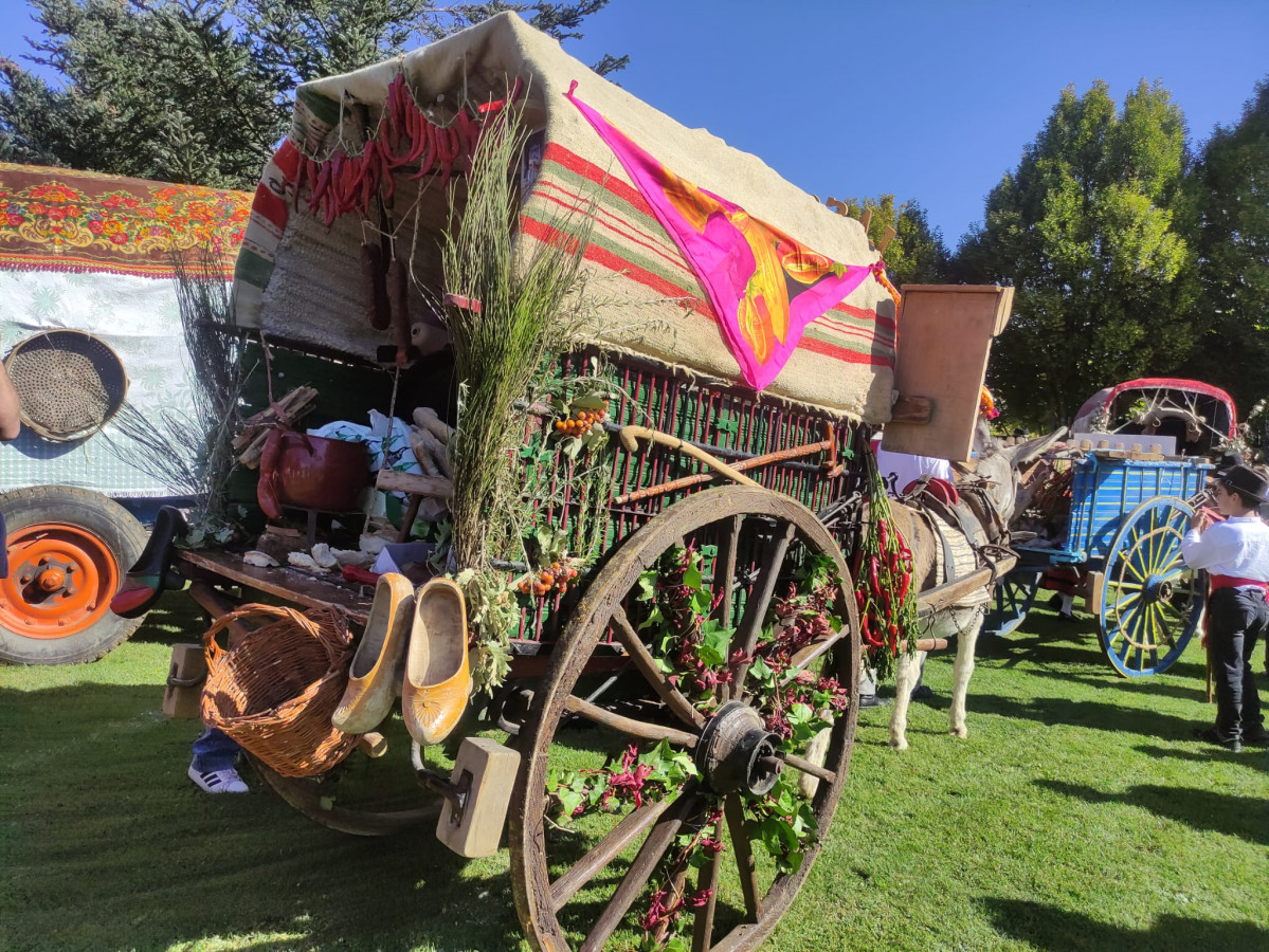 Carros engalanados romeria san froilan la virgen 2023 (15)