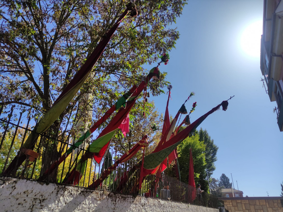 Pendones romeria san froilan la virgen 2023 (19)