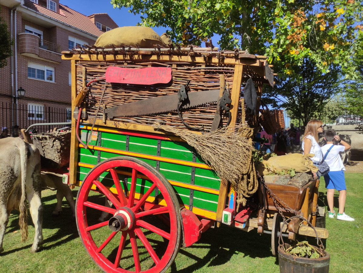 Carros engalanados romeria san froilan la virgen 2023 (22)