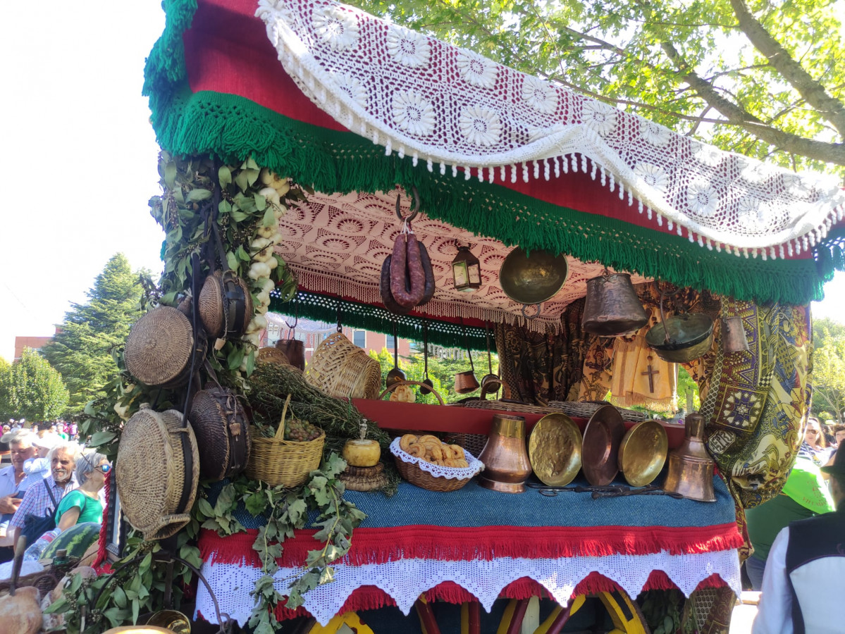 Carros engalanados romeria san froilan la virgen 2023 (24)