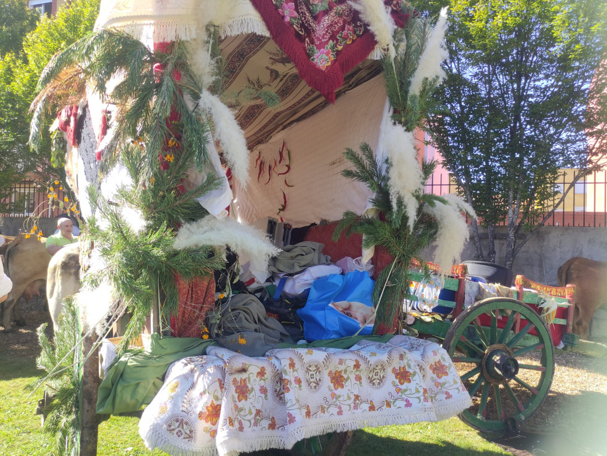 Carros engalanados romeria san froilan la virgen 2023 (27)