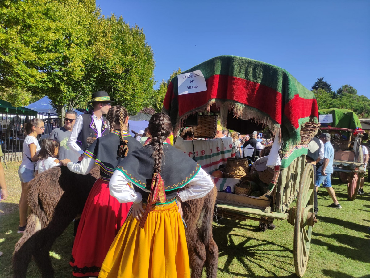 Carros engalanados romeria san froilan la virgen 2023 (28)