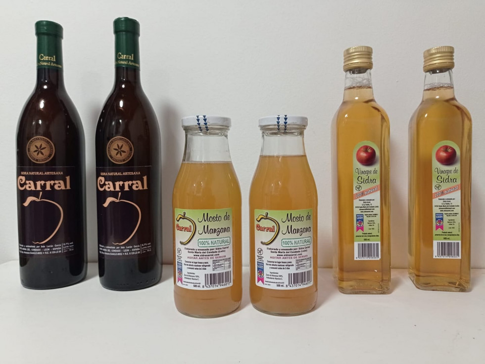 Sidra carral 3