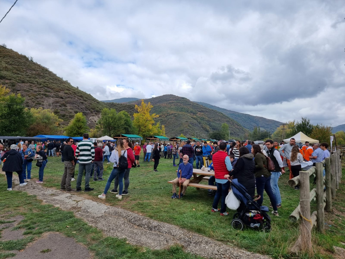 Feria de la reina 2023 DDV 2