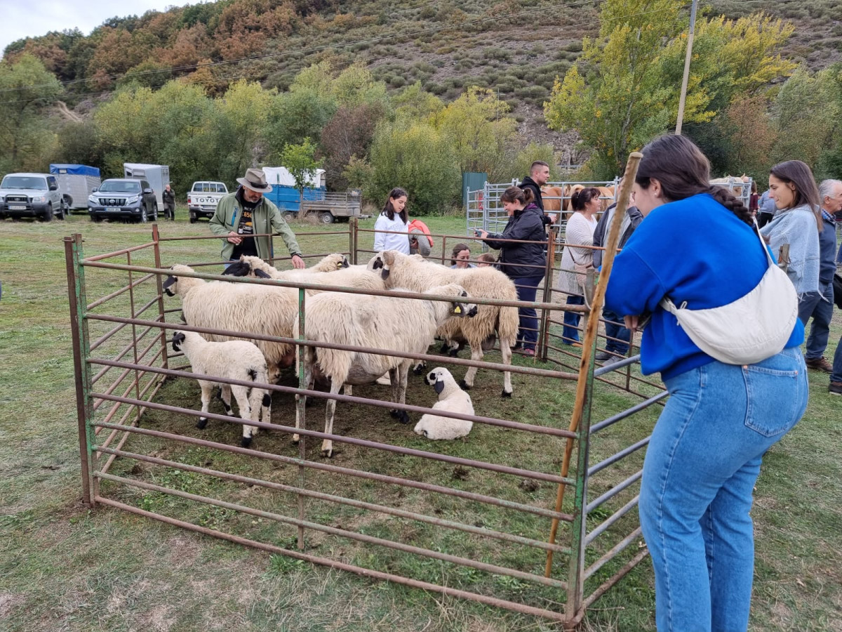 Feria de la reina 2023 DDV 5