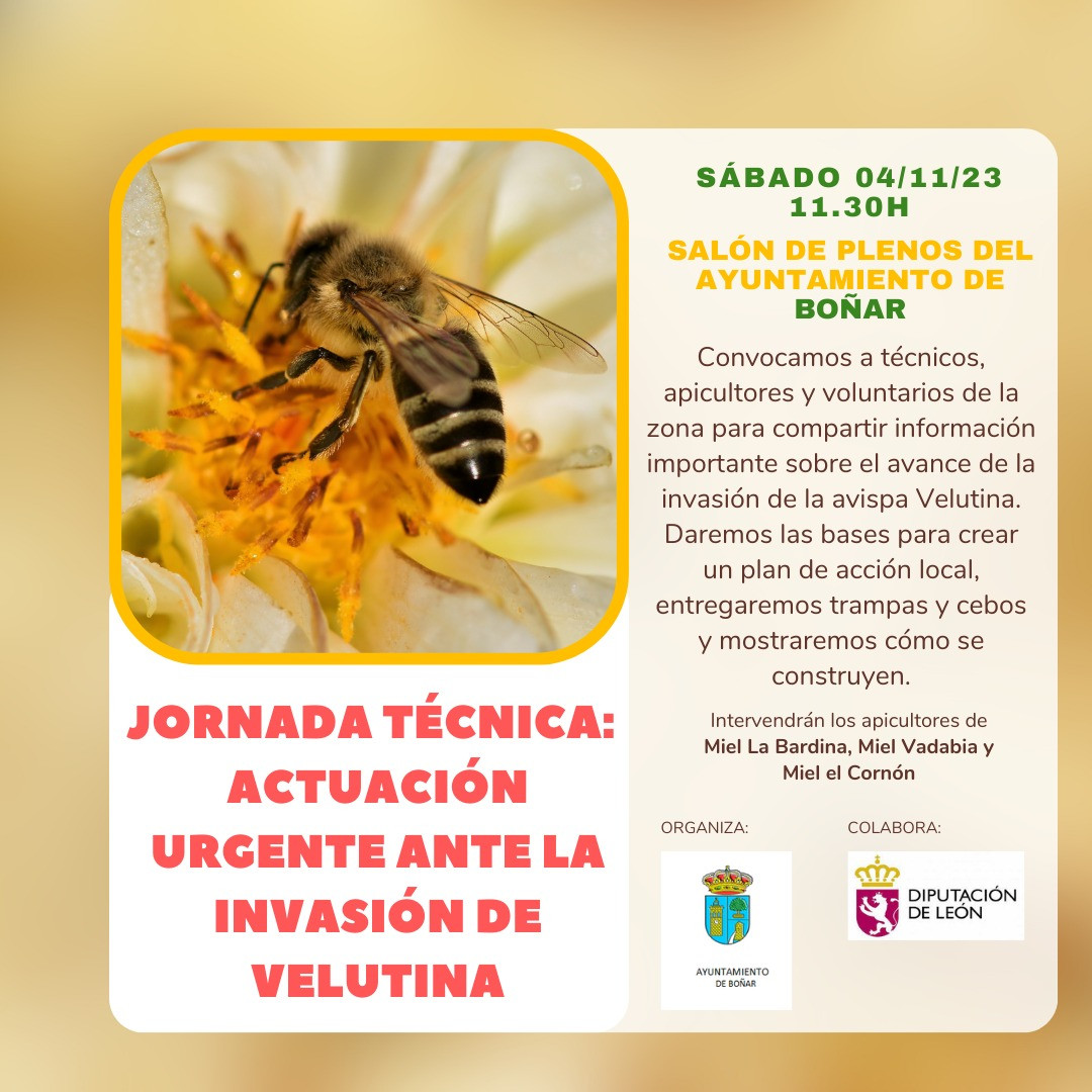 Jornada tecnica urgente Invasion de Velutina