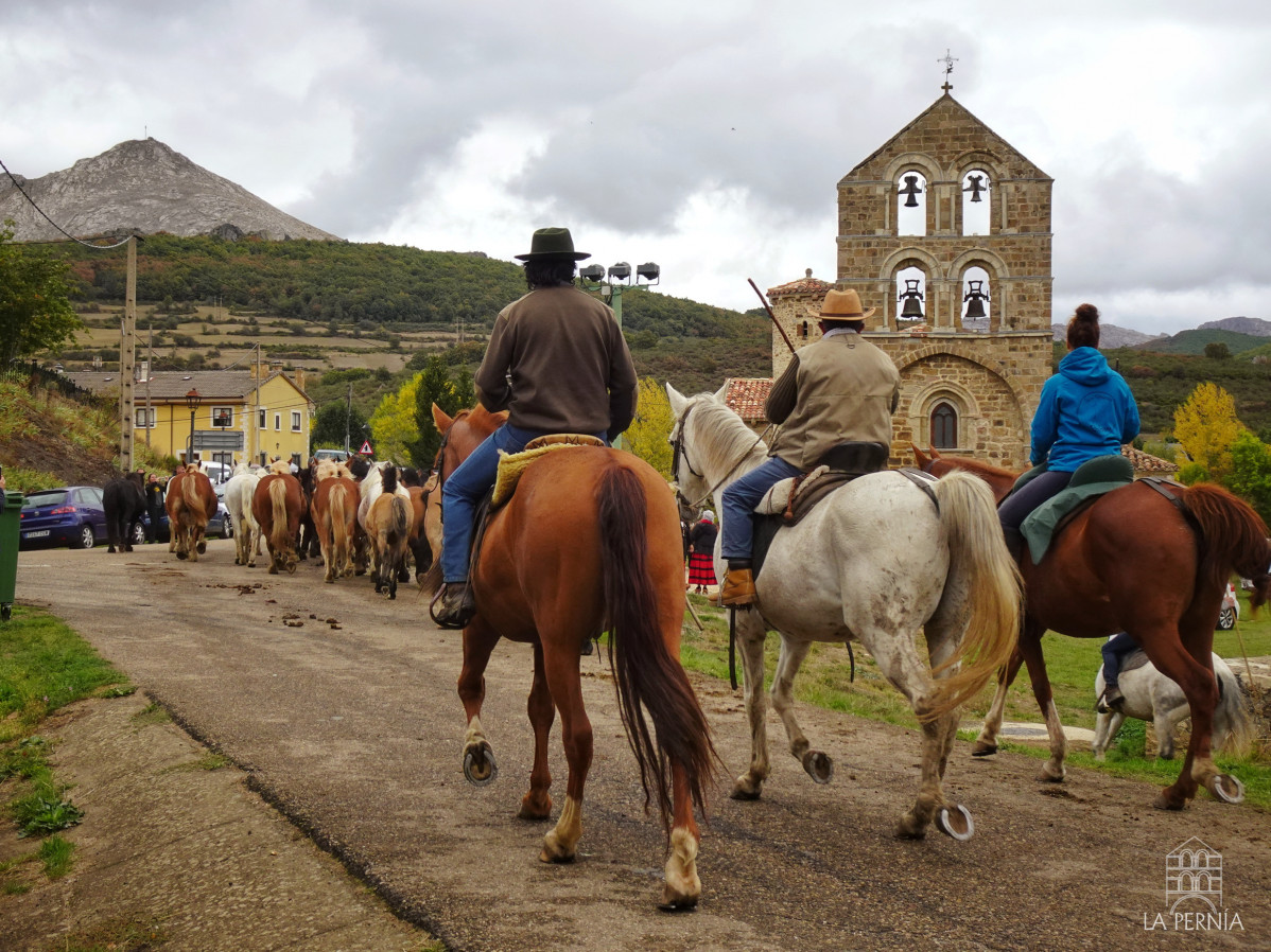 Feria del caballo la pernia san salvador de cantamuda