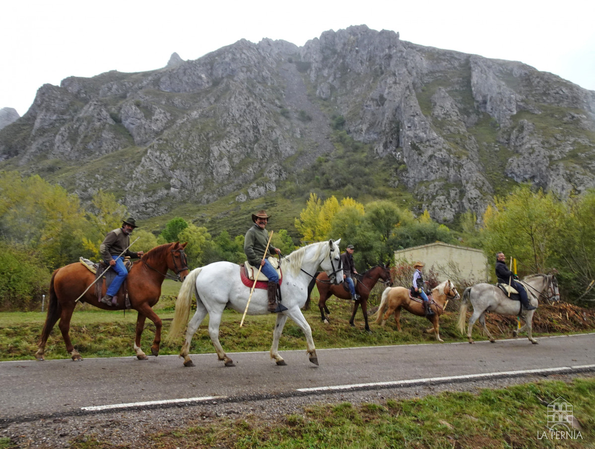 Feria del caballo la pernia san salvador de cantamuda (6)