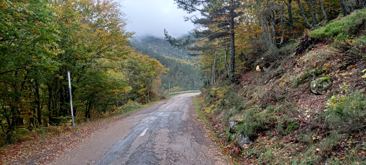 Carretera puerto de las señales 4