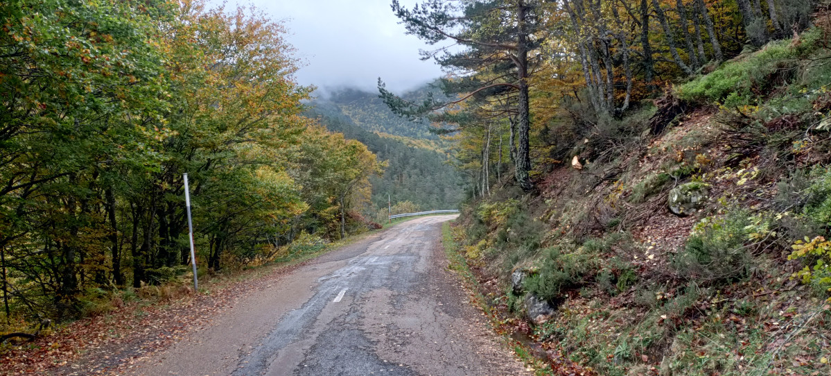 Carretera puerto de las señales 3