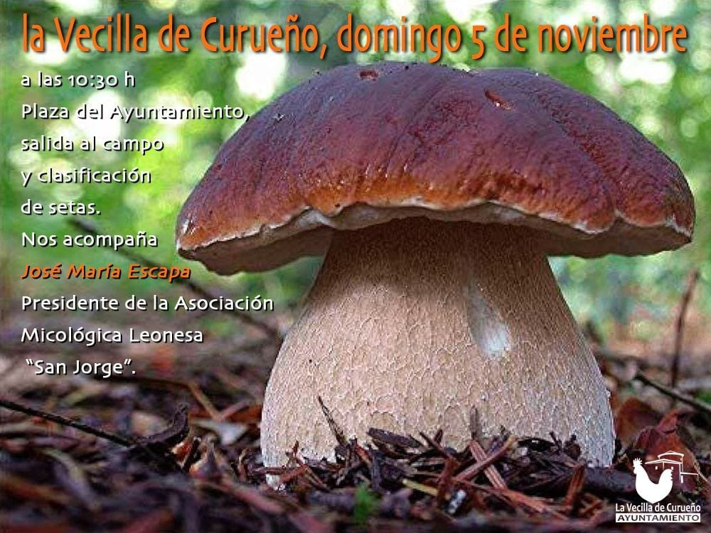Cartel