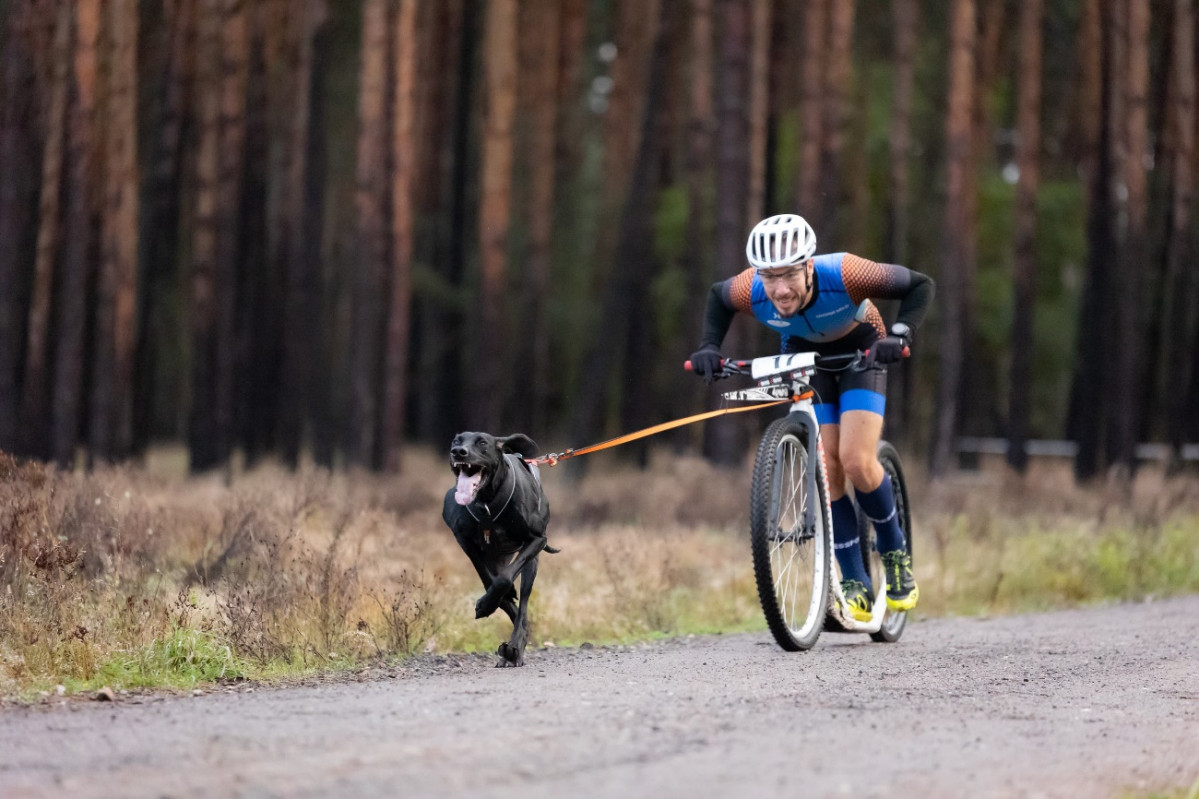 Mushing Montau00f1a Oriental Stefan Grube