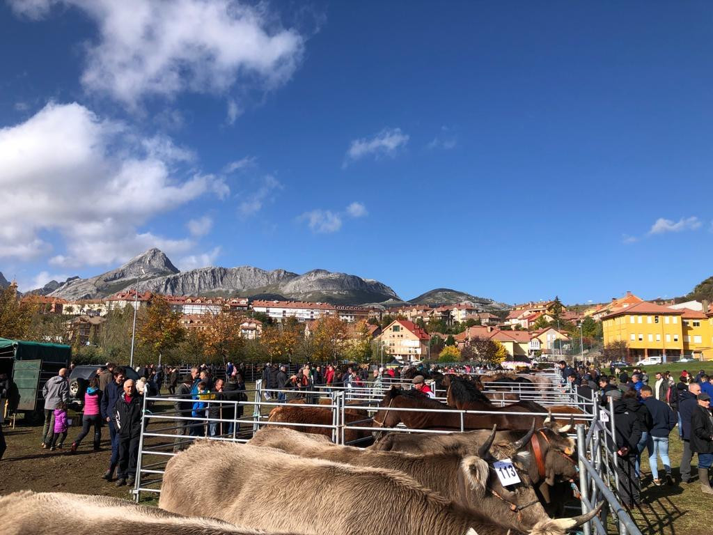 Feria de riaño 2023 DDV 47