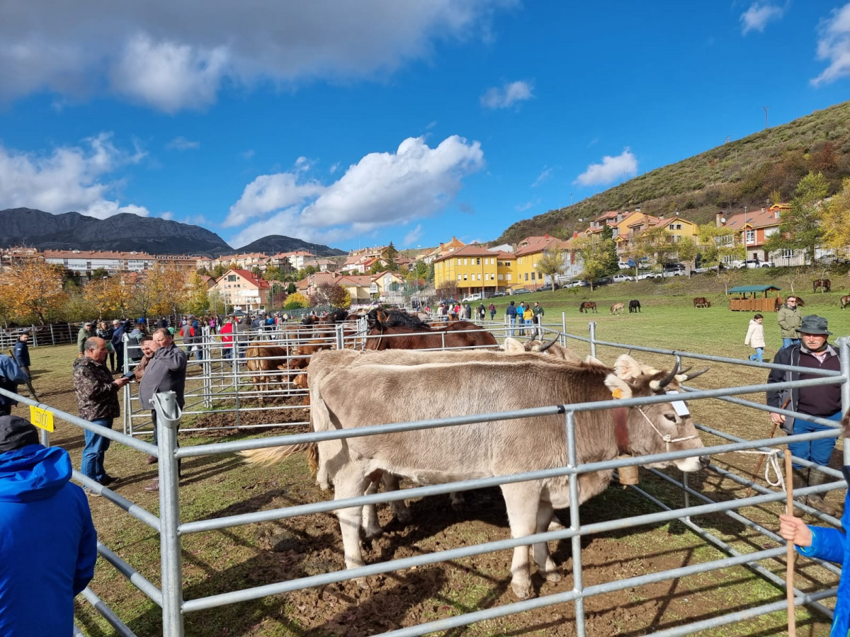 Feria de riaño 2023 DDV 15