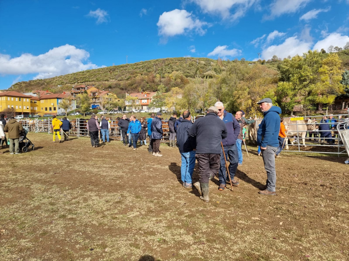 Feria de riaño 2023 DDV 35