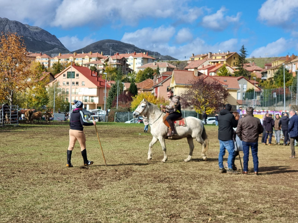 Feria de riaño 2023 DDV 38