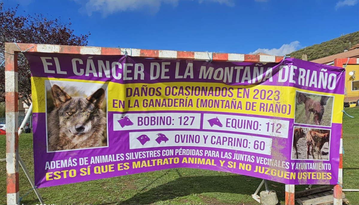 Feria de riaño 2023 DDV 39