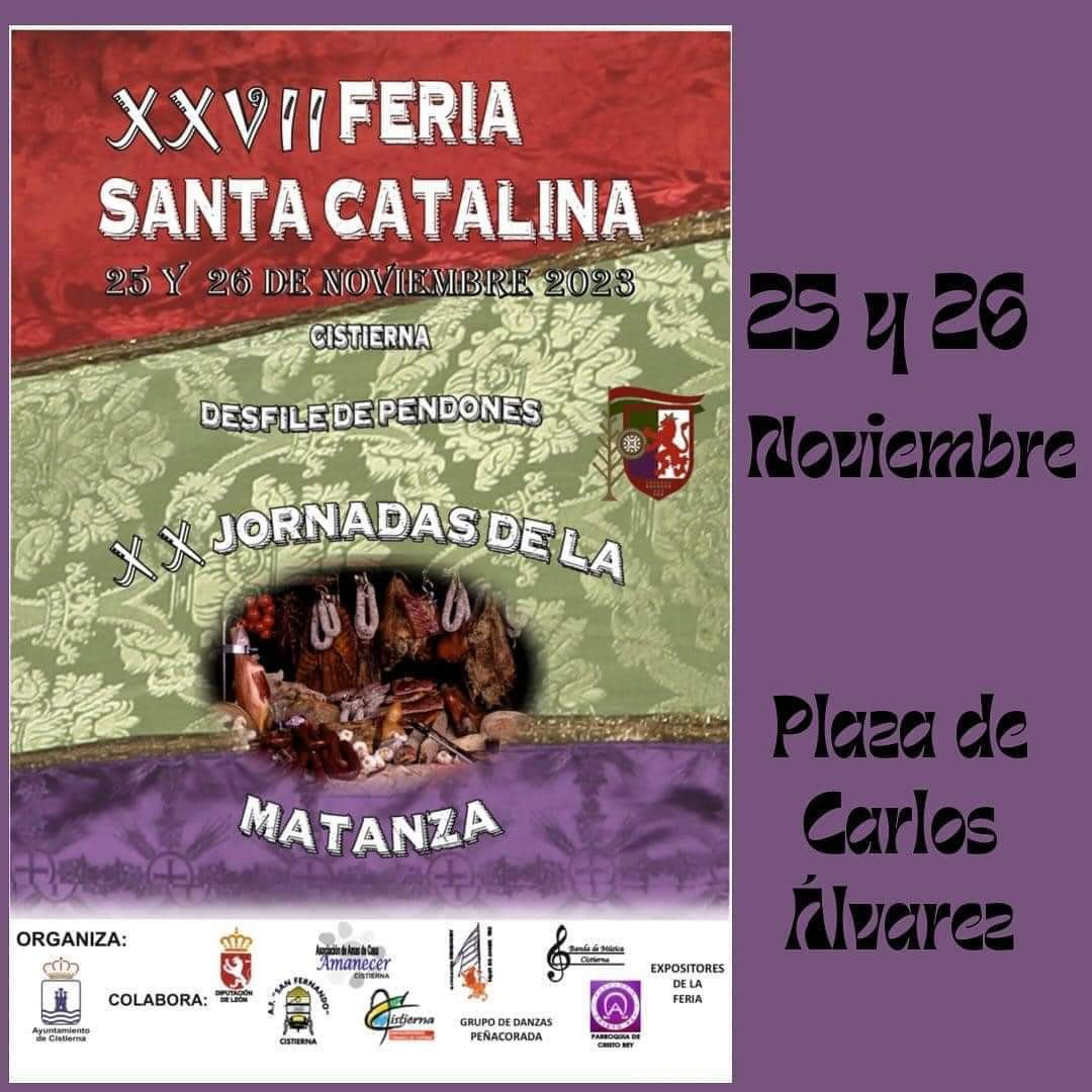 Feria santa catalina cistierna 2023 2