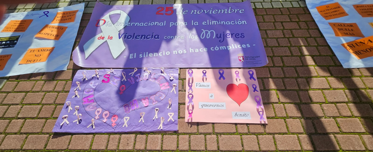 Dia de la violencia contra la mujer 25N riau00f1o (6)