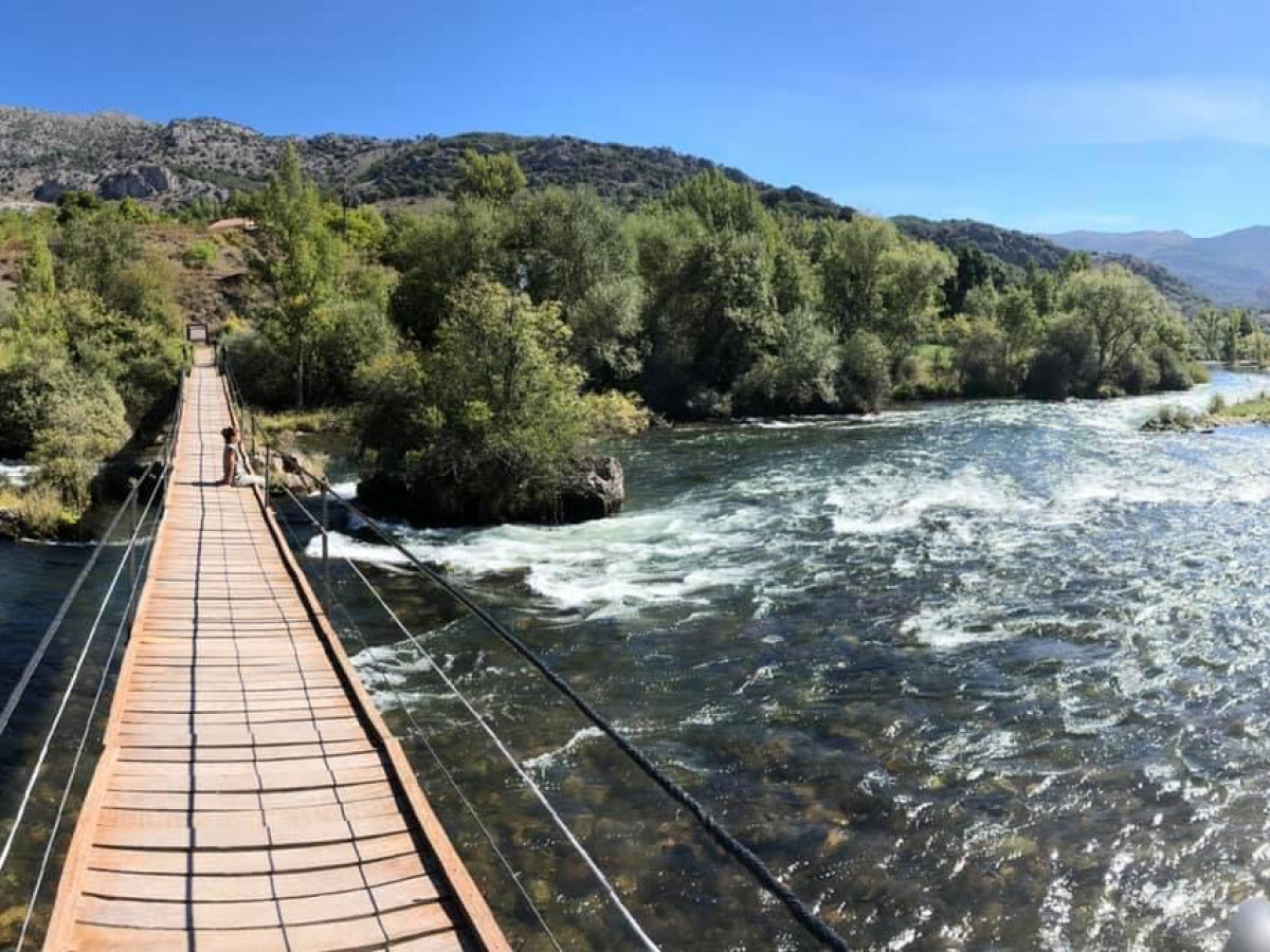 Foto