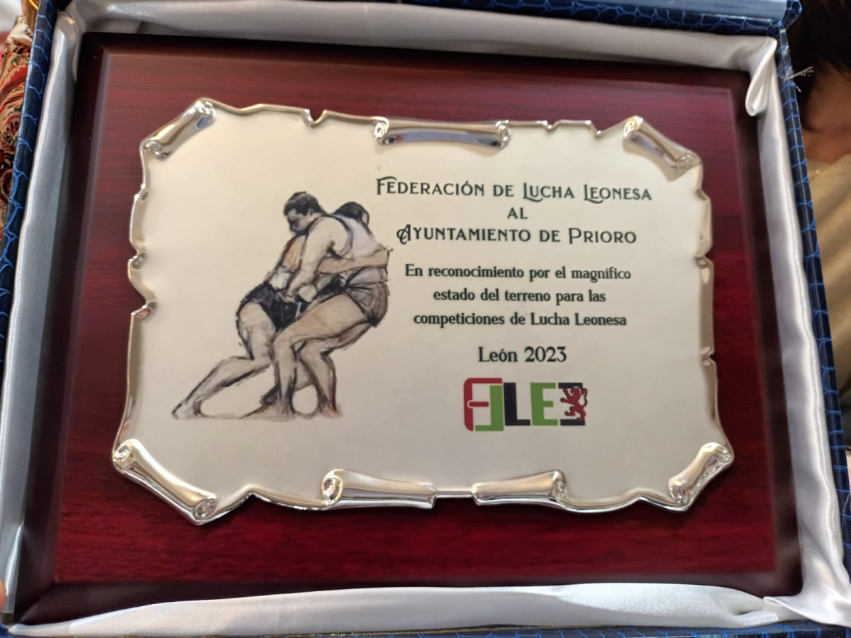 Premio mejor  mejor terreno lucha leonesa corro de prioro (2)