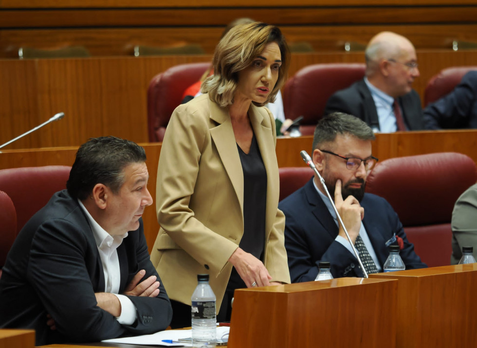 La procuradora de UPL, Alicia Gallego 2 (1)