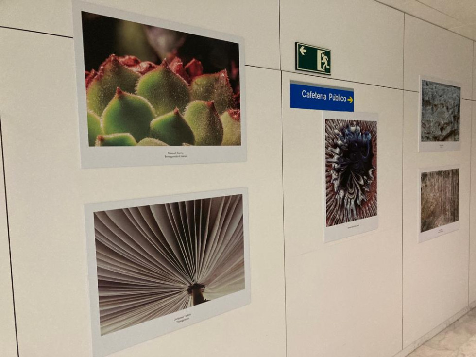 Exposicion hospital de leon