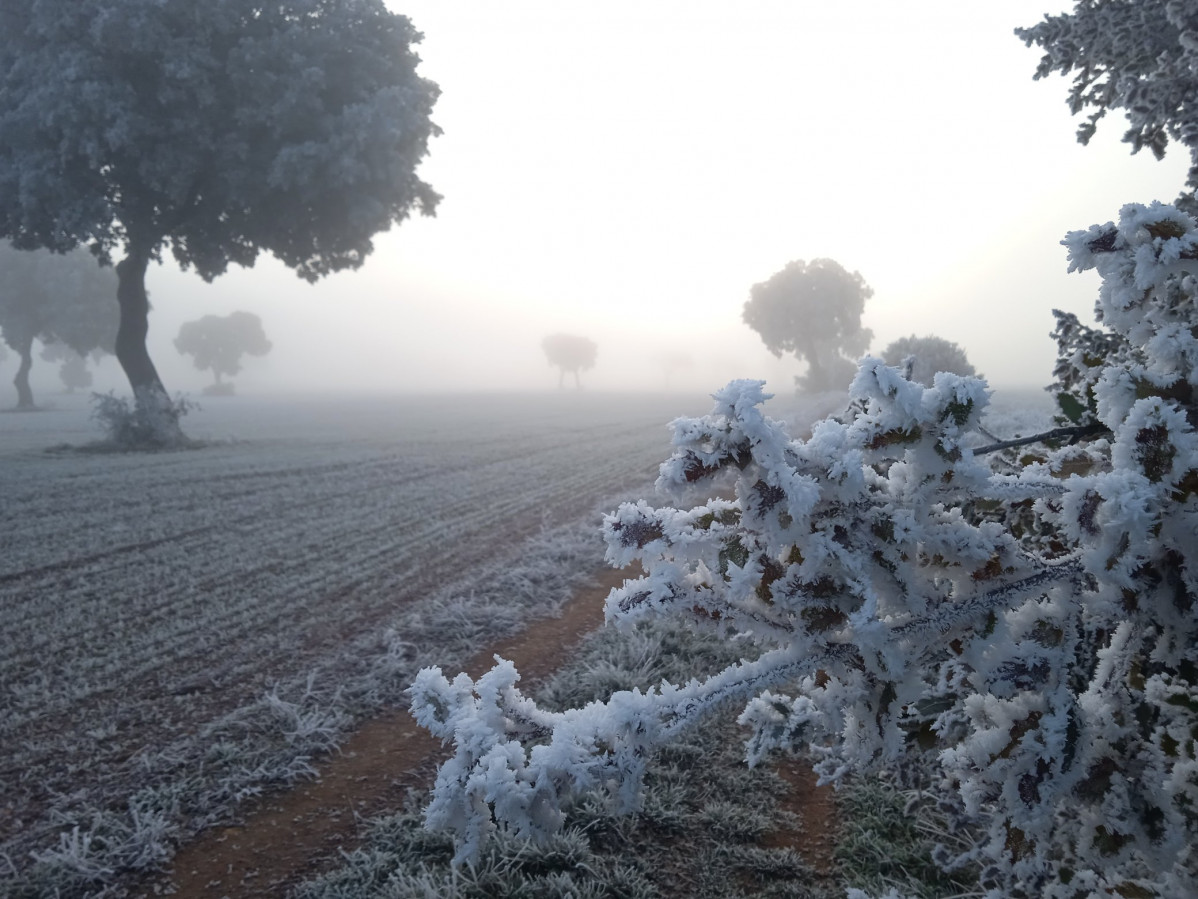 Nieblas lluvias engelantes mrtxu