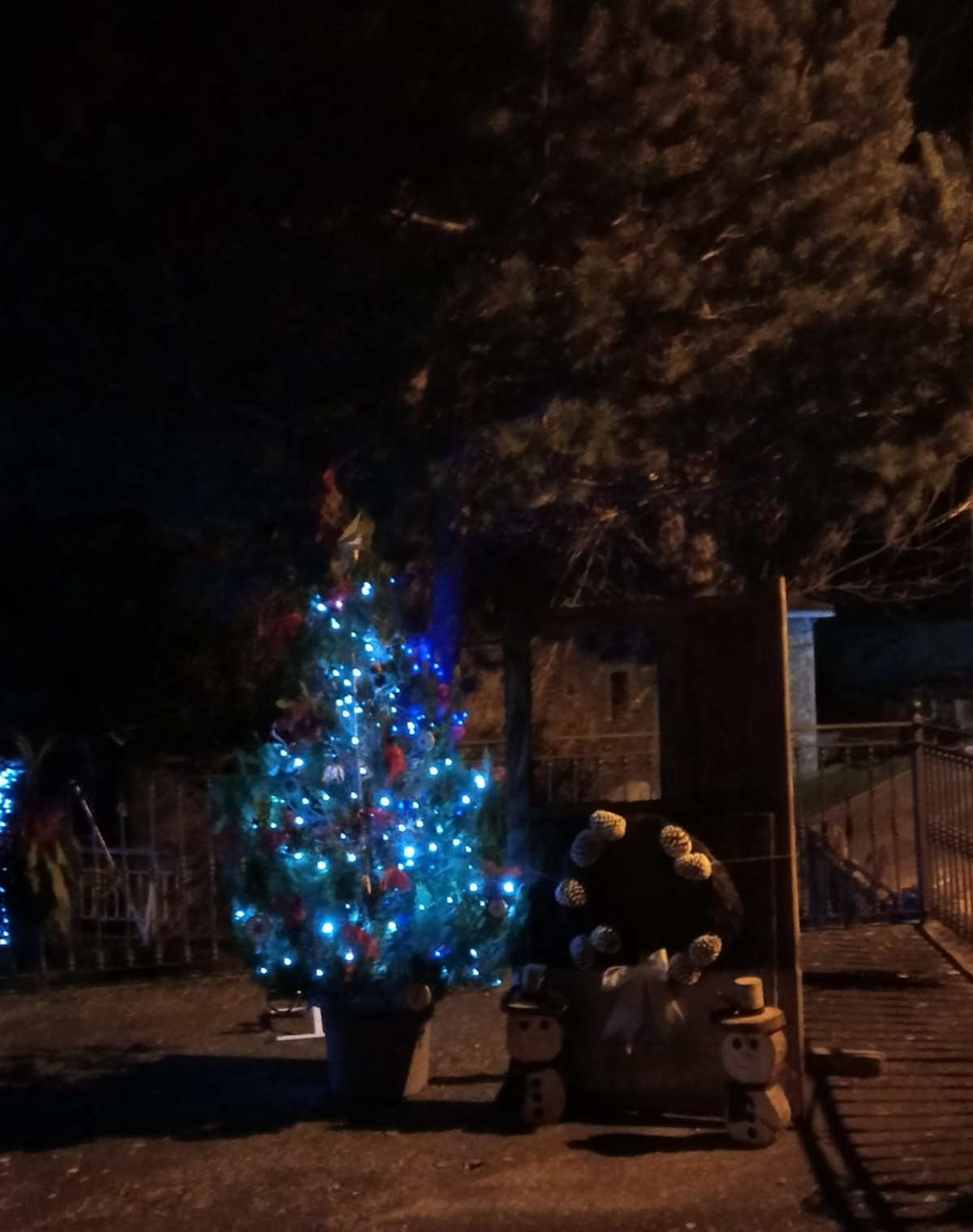 Navidad 2023 polvoredo (14)
