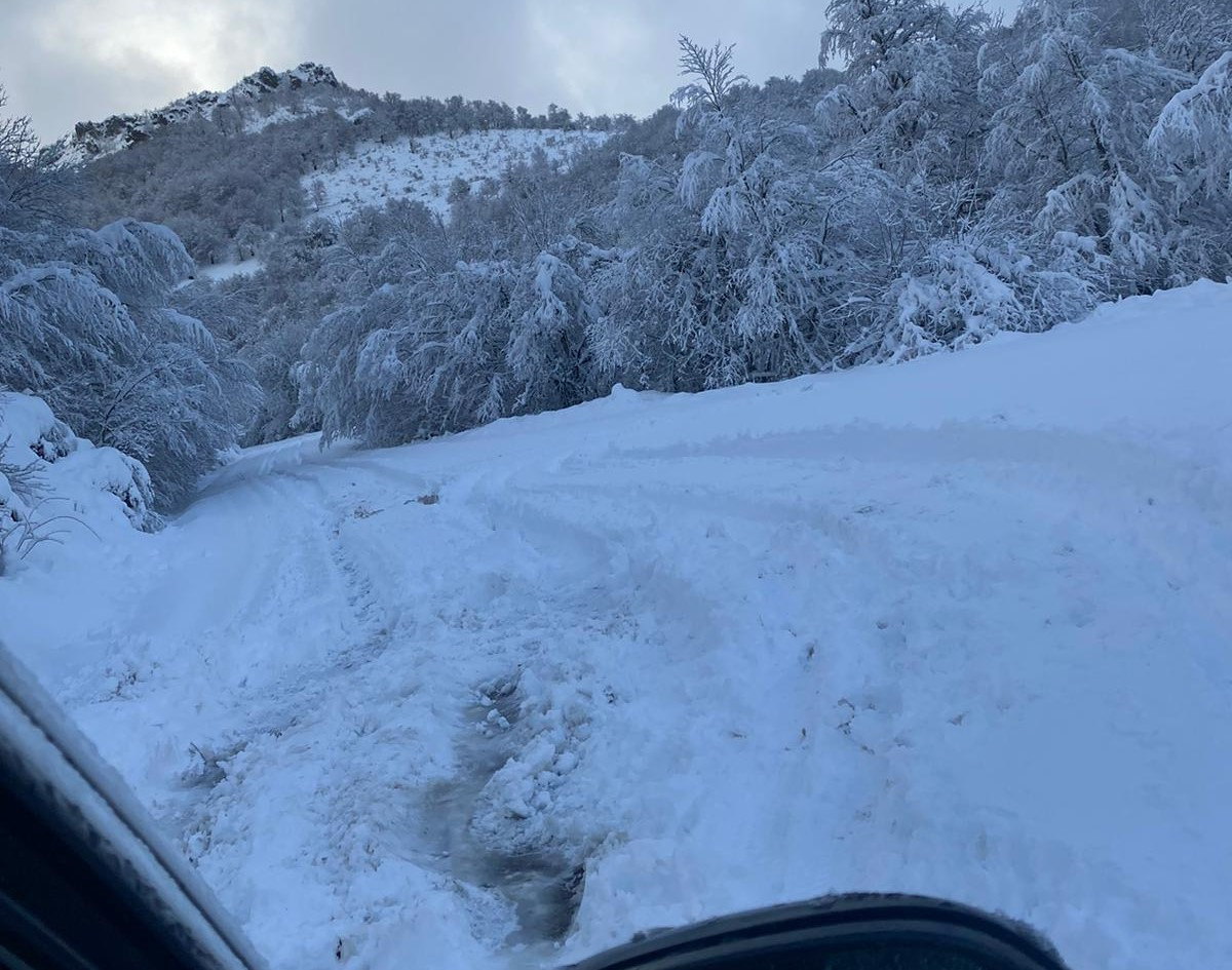 Nieve valdeon puerto enero 2024 1
