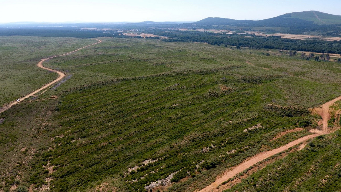 Estudio Minería Aurífera 03