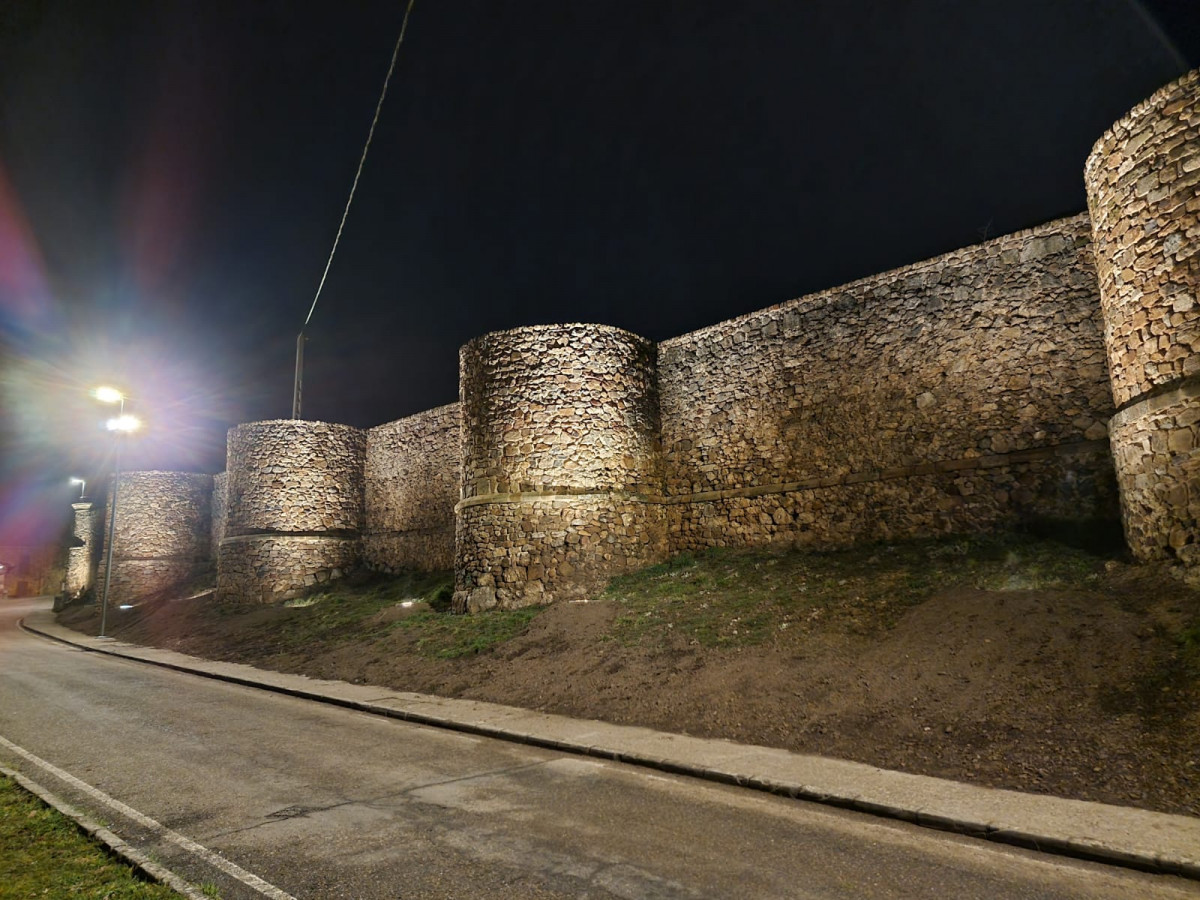 Muralla palacio de los marqueses de prado (11)