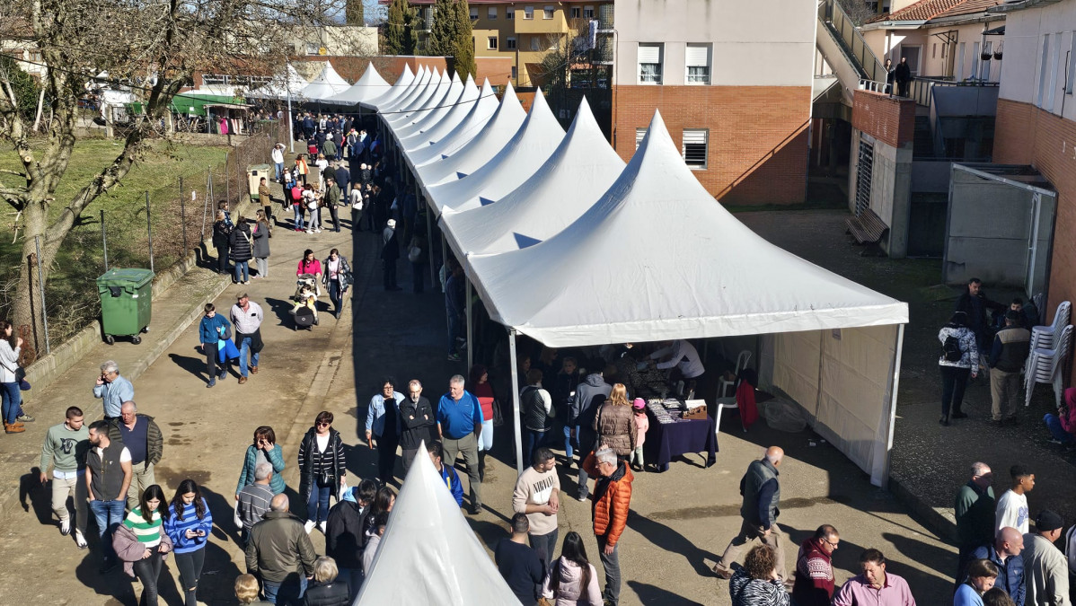 Feria de San Blas 2024 gradefes (9)