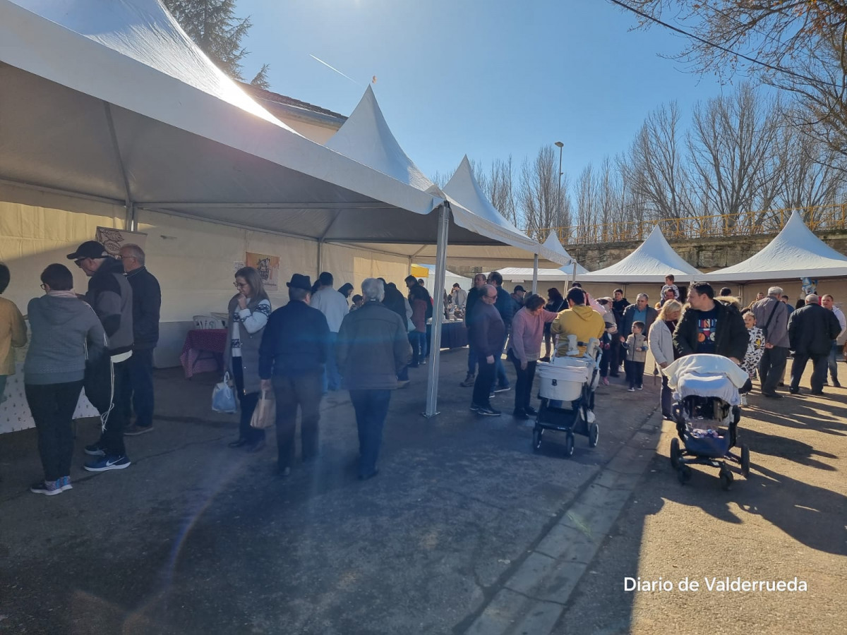 Feria de San Blas 2024 gradefes (23)