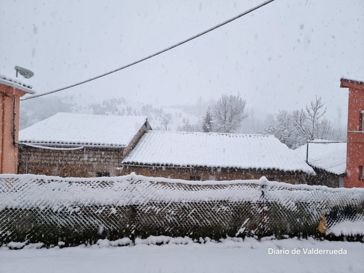 Valderrueda nieve febrero 2024 1