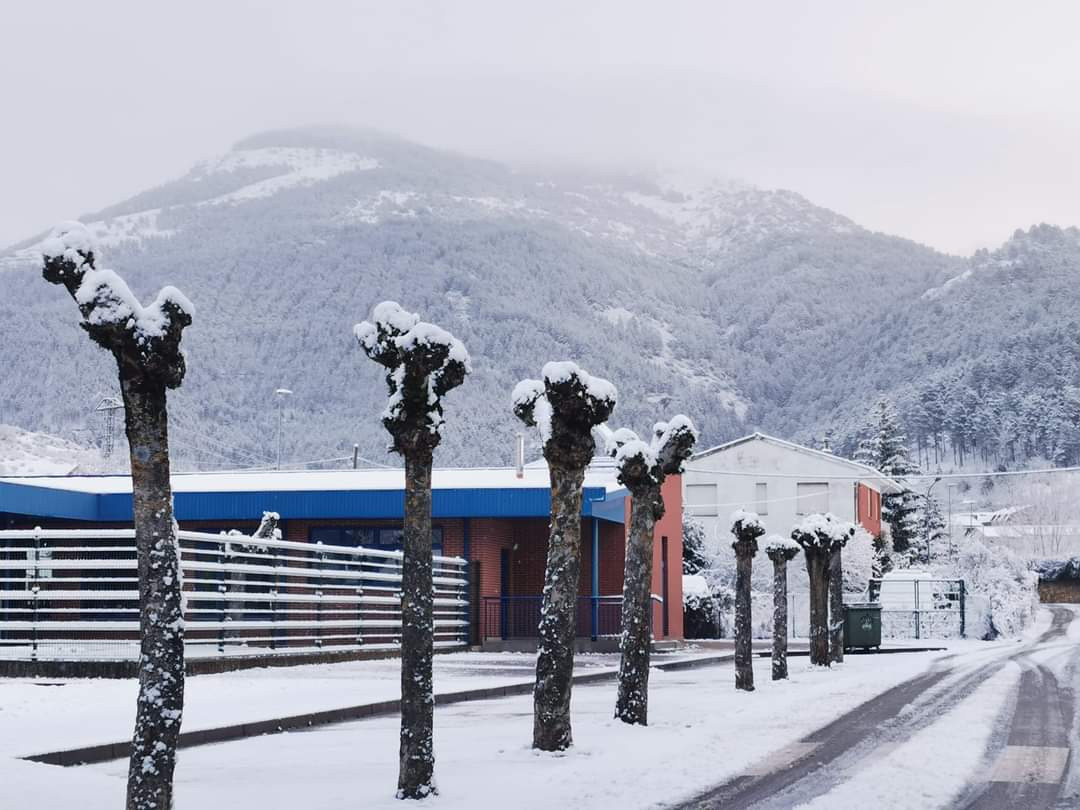 Cistierna nieve febrero 2024 1