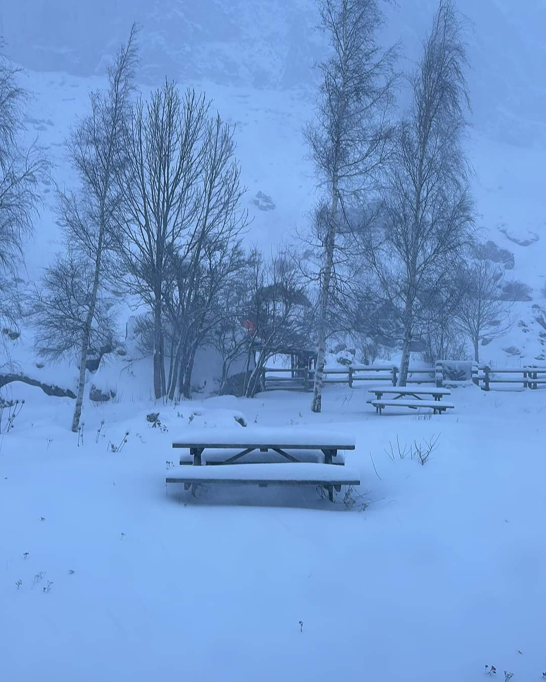 Maraña nieve febrero 2024 1