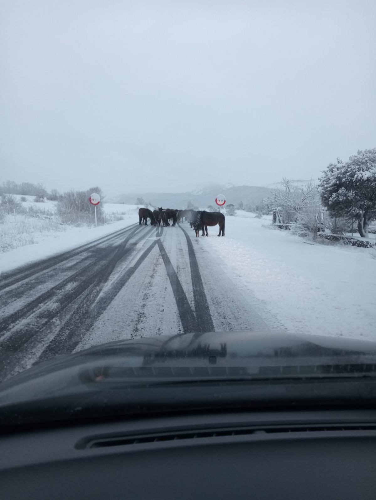 Nieve alto porma begoña laiz