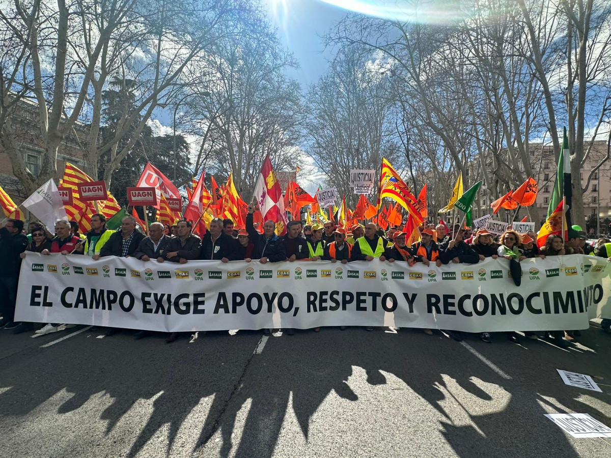 Manifestacion agricultores y ganaderos madrid