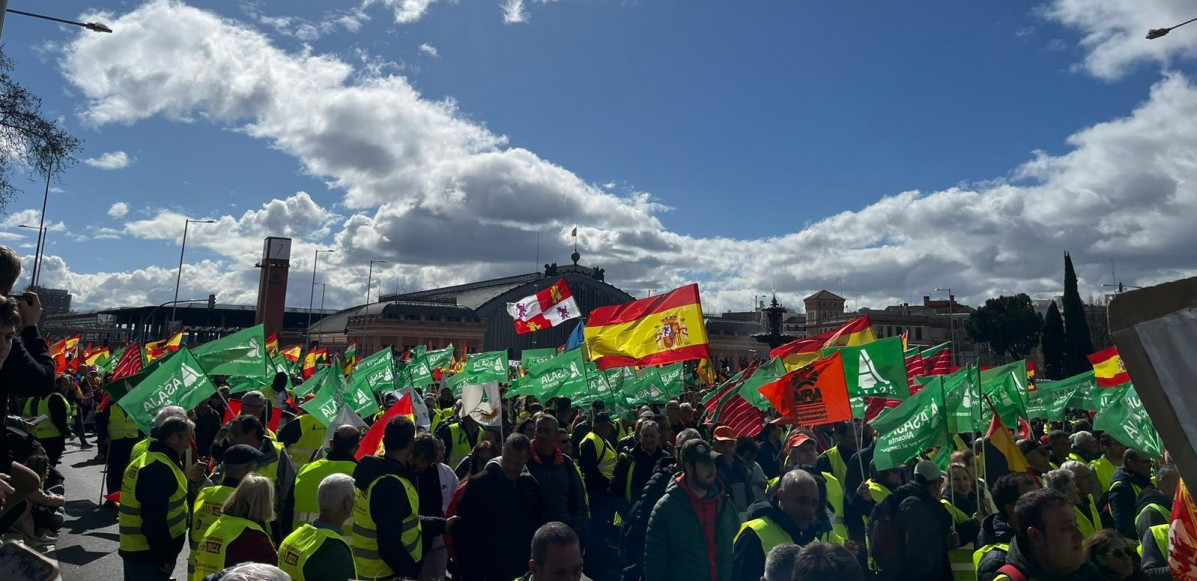 Manifestacion agricultores y ganaderos madrid