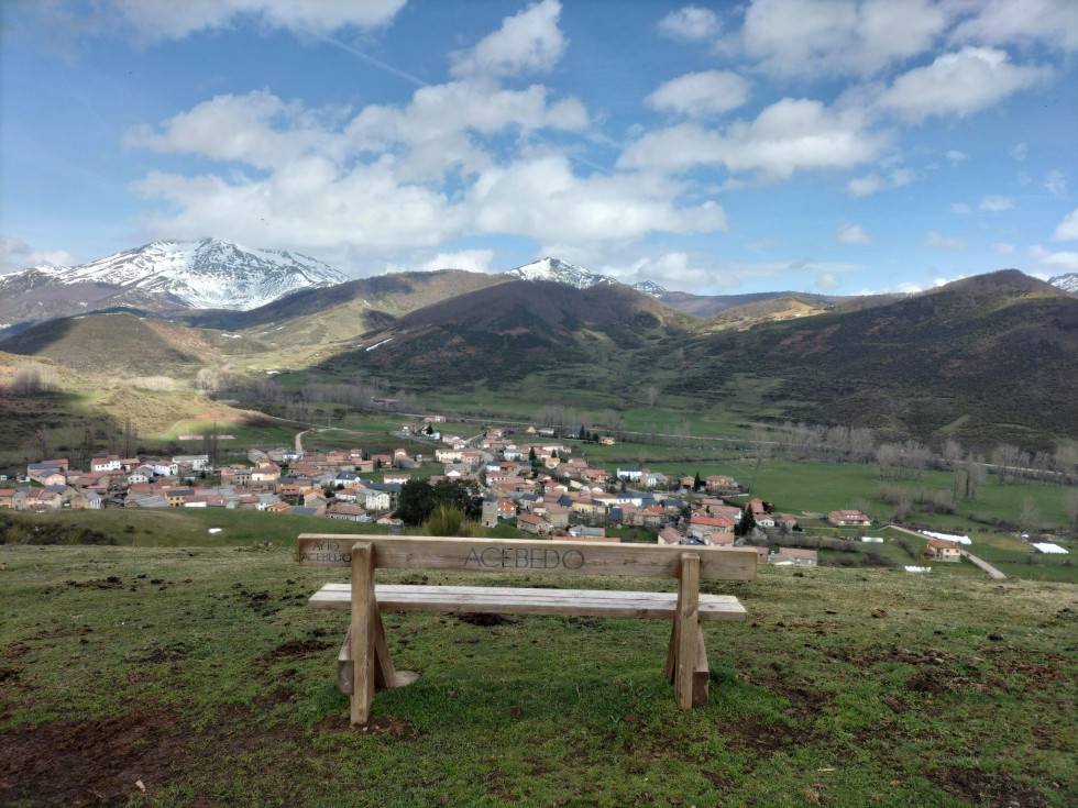 Acebedo