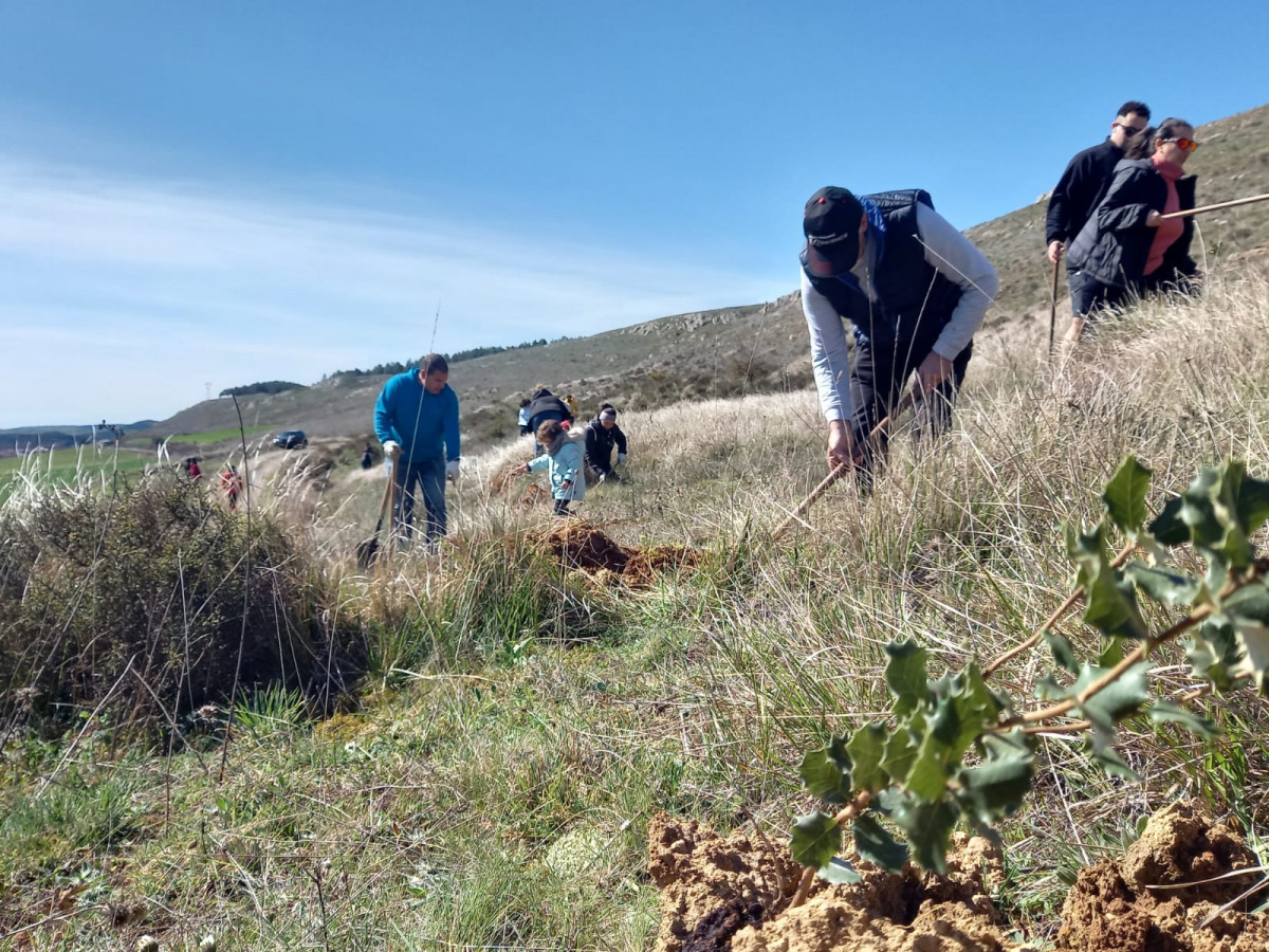 Dia del arbol plantacion aguilar (2)