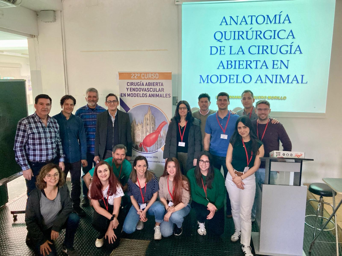 Curso de Cirugu00eda Vascular y Endovascular en modelos animales Leon