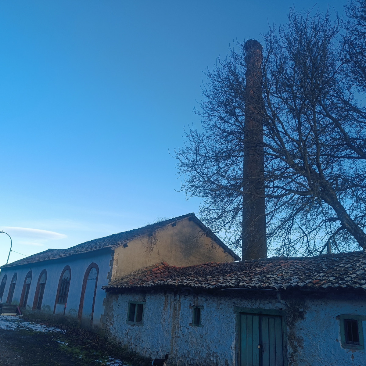 Fabrica de ovoides y briquetas de puente almuhey (2)