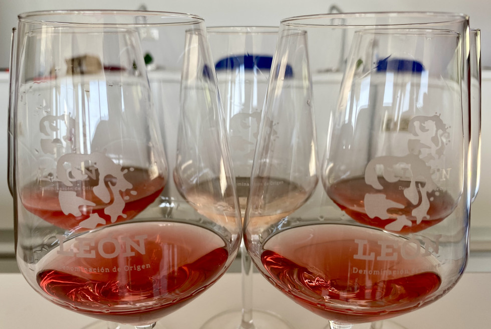 Copas de vino rosado genérico de la Denominación de Origen León