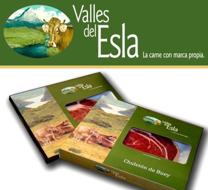 Valles del esla archivos 2